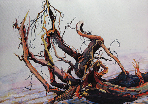 Dancing in the Mist SOLD NOT FOR SALE