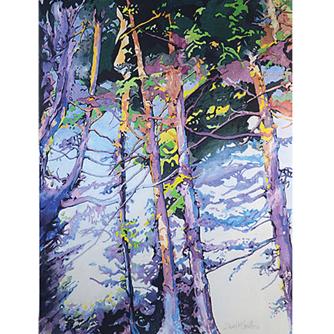 Dappled Light SOLD NOT FOR SALE