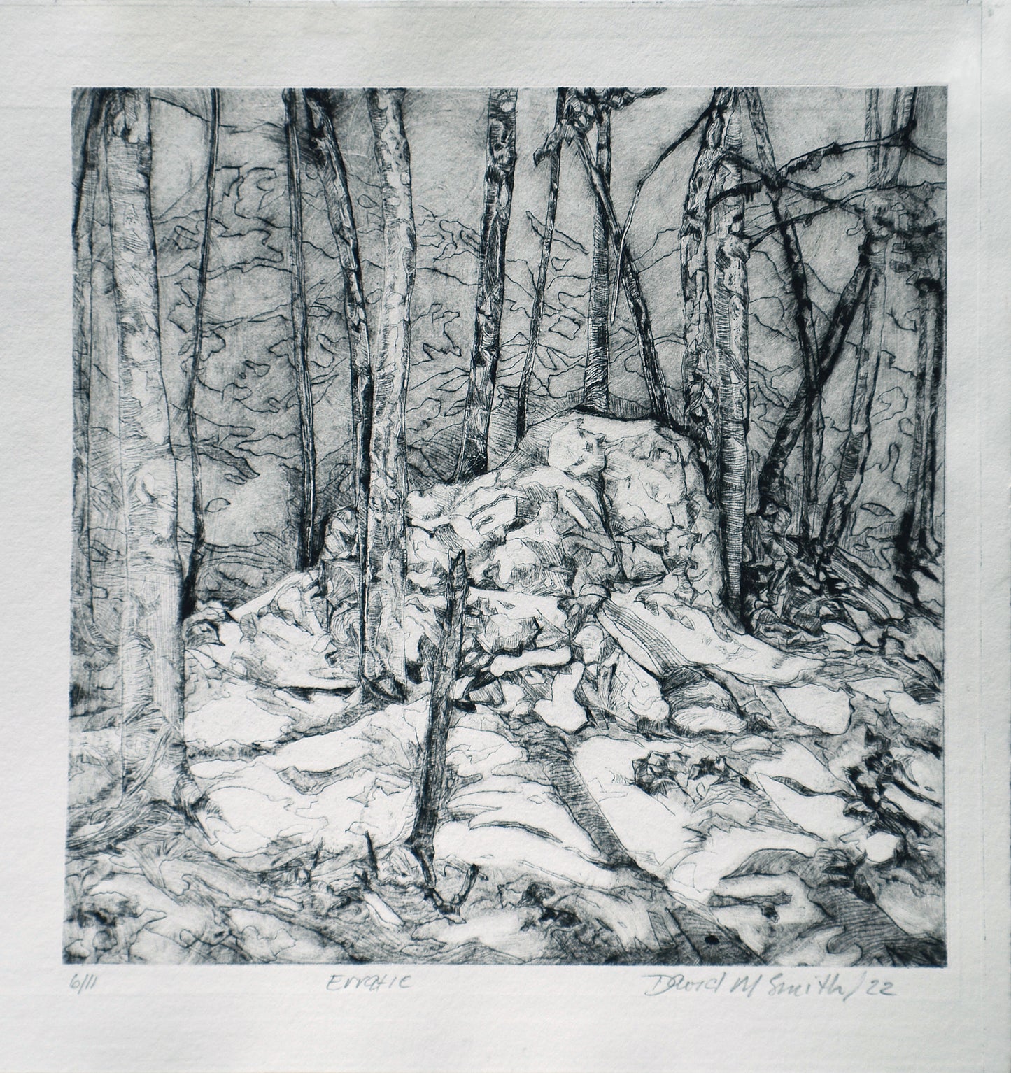 Erratic Rock
