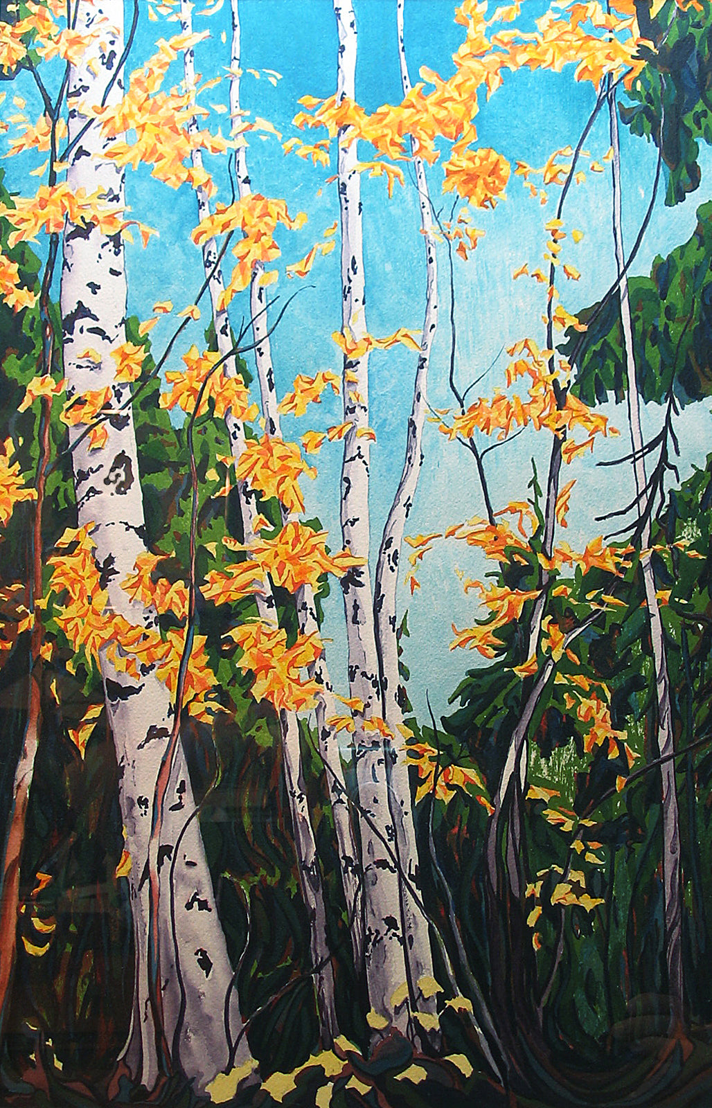 In-between the Branches